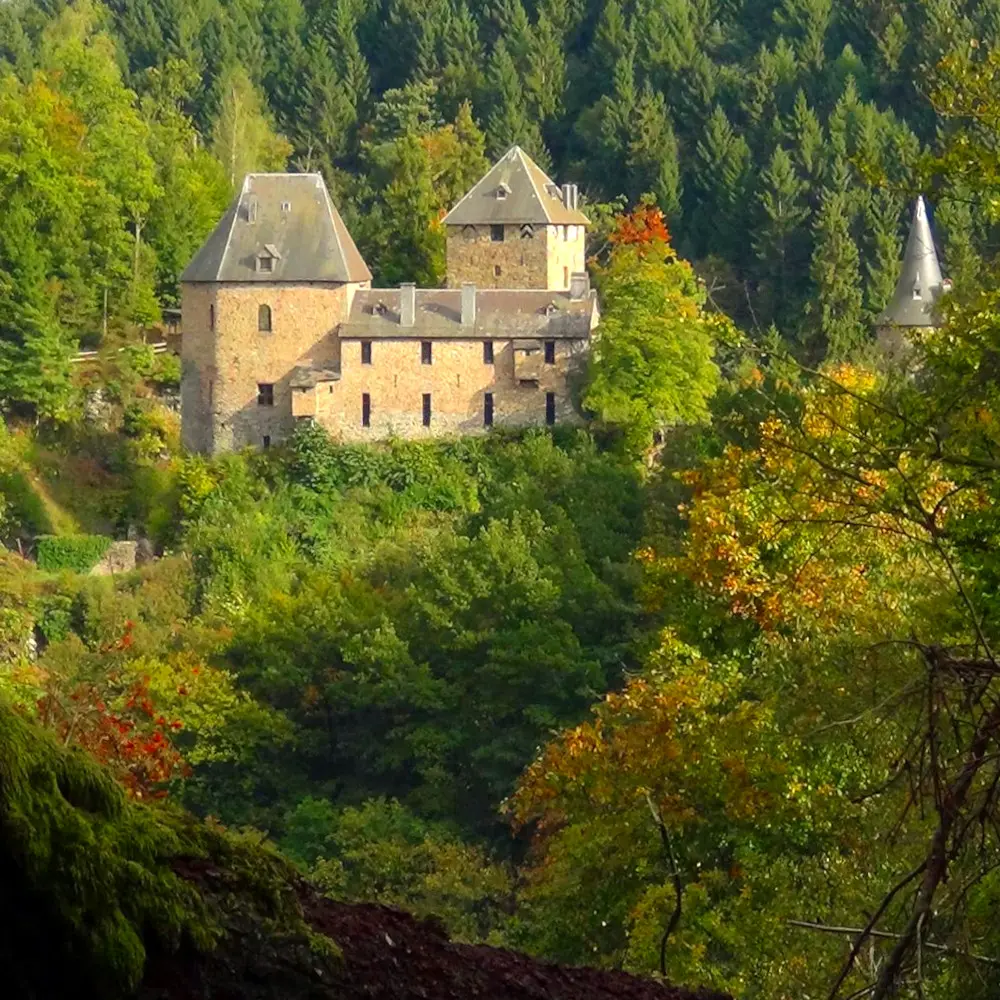 Château de Reinhardstein sur son piton rocheux émergeant des arbres. On y distingue bien les quatre bâtiments constituant le château proprement dit : de gauche à droite, la tour de la Chapelle, le corps de logis appelé également le Pallas avec, au rez-de-chaussée, les quatre fenêtres de la salle des Chevaliers. Derrière le corps de logis, on aperçoit le sommet du donjon et enfin, à droite, la tour Salamandre avec son toit pointu.