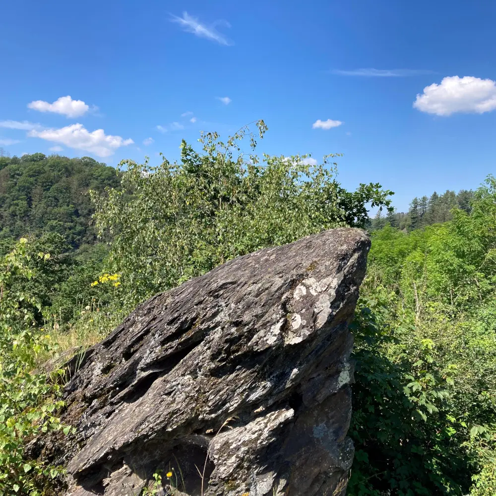 Dominant la vallée boisée de l’Ourthe à La Roche-en-Ardenne, rocher de schiste ponctué de lichens évoquant le site de Reinhardstein avant la construction du château.