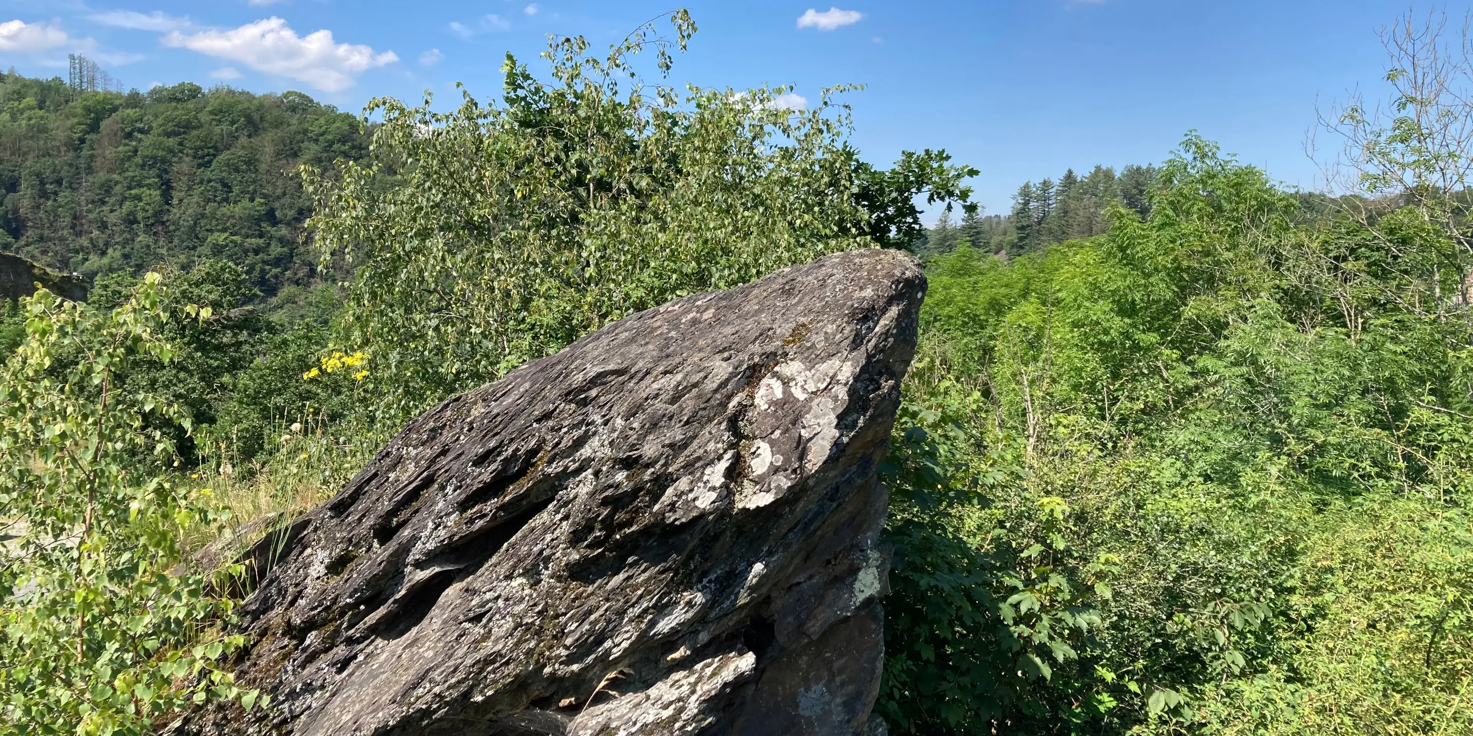 Dominant la vallée boisée de l’Ourthe à La Roche-en-Ardenne, rocher de schiste ponctué de lichens évoquant le site de Reinhardstein avant la construction du château.