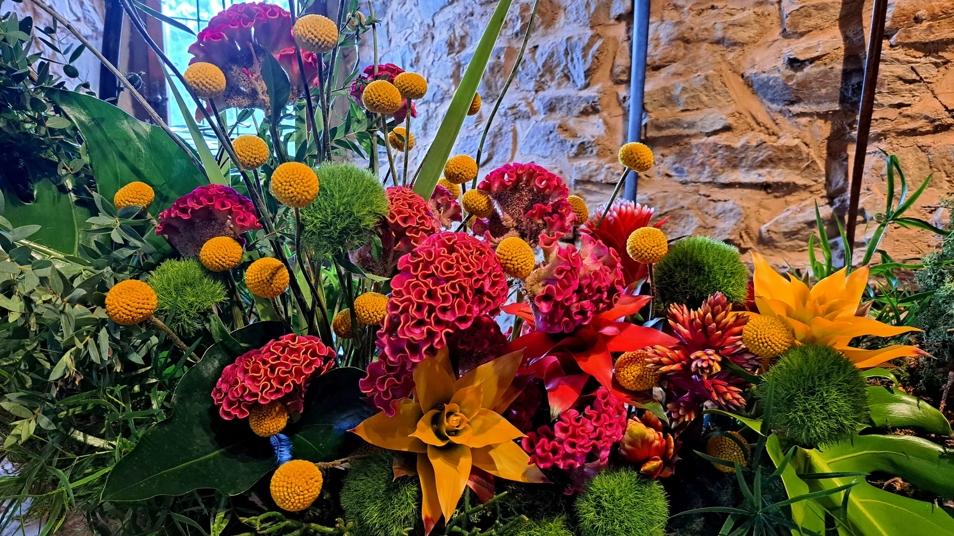 Composition florale comprenant des descelosia cristata, des craspedia globosa, des broméliacées, une fleur d'anthurium rouge et des dianthus avec un feuillage composé de monstera deliciosa, de branches d'eucalyptus et de cordyline.