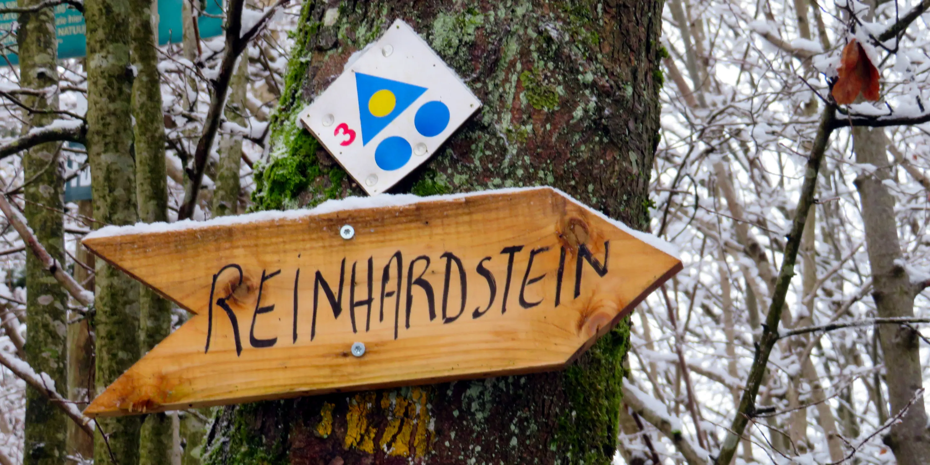 Panneau indicateur en bois en forme de flèche avec l'inscription manuscrite REINHARDSTEIN fixé sur un tronc d'arbre moussu, surmonté d'une balise de randonnée numérotée dans un paysage forestier enneigé.